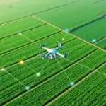 Tarım Teknolojileri (AgriTech) Yazılım Geliştirme 2026: Hassas Tarım, IoT Sensör, Drone Veri Platformu